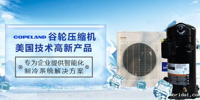 北京ac米兰比赛录像科技